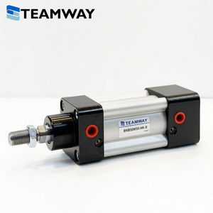 TEAMWAY BNB ซีรีส์กระบอกลมนิรภัยแบบล็อคได้, กระบอกลมป้องกันการตกขนาด 32 มม.-100 มม., กระบอกลมแบบกำหนดระยะชักได้เอง 25-500 มม. ประเภท RK/HK/RHK - Product Image 2