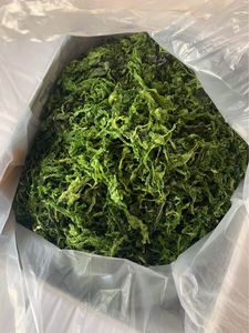 Wholesale Ulva Lactuca Dried Green Seaweed Powder with High Quality/ Ms. Lima - Product Image 4