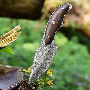 มีดพับ EDC ขนาดกะทัดรัด ปลายแหลม ด้ามไม้ สำหรับล่าสัตว์ ตั้งแคมป์ มีดอเนกประสงค์ เหล็กดามัสกัสสั่งทำพิเศษ รับผลิตตามแบบ OEM สำหรับการสั่งซื้อจำนวนมาก - Product Image 4