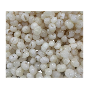 Offre spéciale : Fabricant vietnamien fournit des longanes en conserve les plus vendues dans un sirop léger, emballage personnalisé - Product Image 6