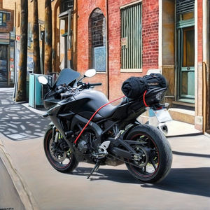 Juego de cuerdas elásticas multiusos para bicicleta (10 piezas) - Product Image 3