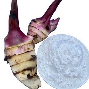 Almidón de Arrowroot Natural de Primera Calidad a Buen Precio, Hecho en Vietnam - Product Image 1