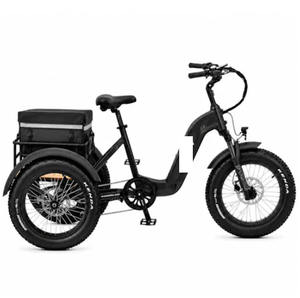 Nuevo Triciclo Eléctrico R-evom Mover T-2 con Llantas Anchas, Precio de Fábrica, Envío Gratuito a Todo el Mundo - Product Image 1