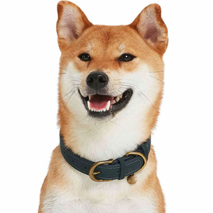 <b>Dog</b> Collars With Custom Logo Print New Design Durable Material Adjustable Strap Lightweight Comfortable Perfect for <b>Dogs</b> - Product Image 5
