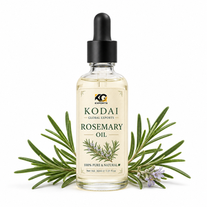 Huile de romarin Kodai 100% pure et naturelle, liquide à base de plantes, avec prise US, pour les soins de la peau, des cheveux et du corps, usage domestique, provenant du Tamil Nadu - Product Image 1