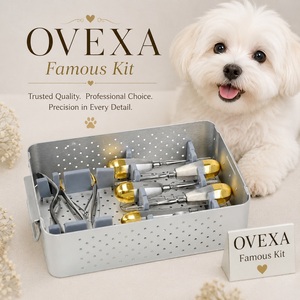 Kit de Instrumentos Dentales Veterinarios de Alta Calidad para Perros y Gatos con Caja - Product Image 1