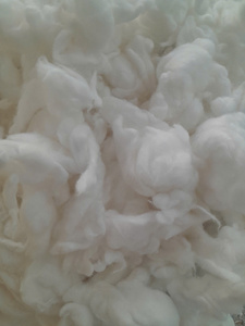 White <b>100</b>% Organic Raw Cotton Loosened Fiber Bulk Natural Material High Quality for Textile Processing - Product Image 3