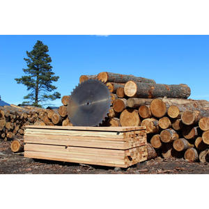 Troncos Cuadrados Aserrados a Granel, Madera Dura de Alta Resistencia y Durabilidad para Mercados de Exportación - Product Image 4