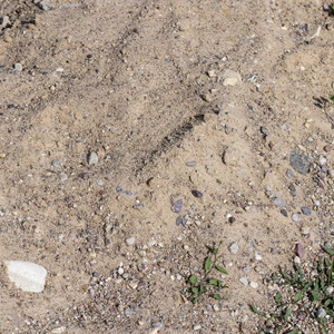 ทรายแม่น้ำธรรมชาติขายส่งจำนวนมากสำหรับโครงการก่อสร้าง วัสดุก่อสร้างคุณภาพสูง - Product Image 6