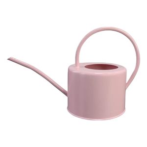 Arrosoir classique en fer, conçu pour le stockage d'eau domestique et la cuisine, usage quotidien, avec corps robuste et poignée pratique - Product Image 1