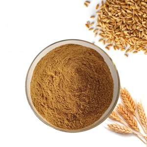 Extracto de Cebada en Polvo 10:1 de Alta Demanda, Extracto Puro de Hordeum Vulgare, Polvo de Cebada Malteada Natural para Alimentos y Bebidas - Product Image 3