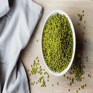 Frijoles Mung Verdes Orgánicos de Primera Calidad, Tamaño 3.2-3.5mm, 24 Meses de Duración, Empacados a Granel en Bolsas de Vacío de 50kg, Reino Unido - Product Image 1