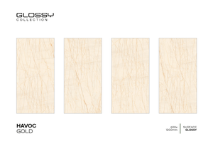 Azulejos de cerámica de diseño moderno, los mejores de 600x1200 mm, estilo moderno, 60*120 cm, de India Tile World - Product Image 5