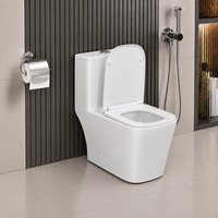 WC monobloc à poser au sol, double chasse, siphon à jet carré en céramique, siphon en S 305 mm, minimaliste