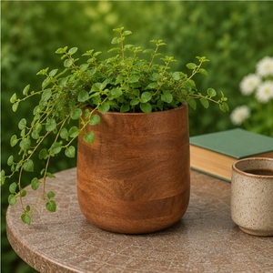 Macetero Artesanal de Madera Maciza de Mango para Plantas de Interior, Maceta de Madera para Decoración de Hogar y Oficina, Florero Decorativo de Madera - Product Image 4