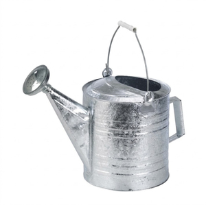 Arrosoir de jardin classique en métal, arrosoir en acier galvanisé de haute qualité avec deux poignées pour plantes d'intérieur et d'extérieur - Product Image 1