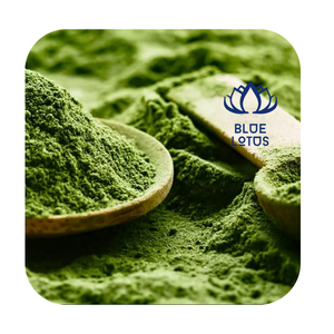 Poudre de thé matcha de qualité supérieure, idéale pour les recettes de boissons quotidiennes, Vietnam - Product Image 1