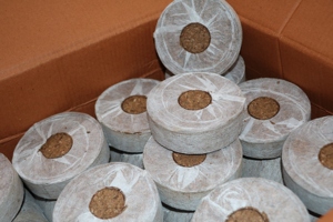 Pellets de Fibra de Coco de Primera Calidad, Pellets Jiffy Listos para Exportar desde India |   GEEWIN EXIM, el principal exportador de la India - Product Image 6