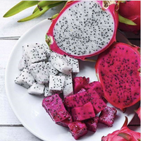 Viet Thien Phu Biologisch Rood Drakenfruit Premium Vers 100% Natuurlijk Exotisch Fruit Van Tropische Boerderijen In Vietnam