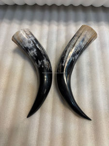 Authentiques cornes de bœuf véritables, cornes de taureau, paires de cornes de téméridés, finition polie, cornes brutes en paires aux prix les plus bas - Product Image 5