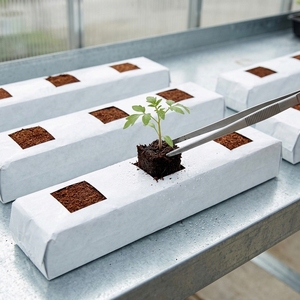 PP Reusable Grow <b>Bag</b>-Black/White Multi-Shaped Holes for Drip Irrigation Hydroponics Indoor Gardening Mushroom Grow <b>Nursery</b> - Product Image 1