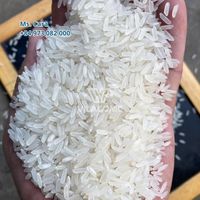 Riz Jasmin Vietnamien Premium 5% de grains cassés Riz Blanc Parfumé à Grains Longs |   Direct Miller |   Préféré par les importateurs africains