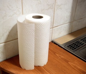 Rouleau d'essuie-tout de cuisine doux, absorbant, sans peluches, 2 plis, de haute qualité, écologique, recyclable - Usage commercial - Product Image 6