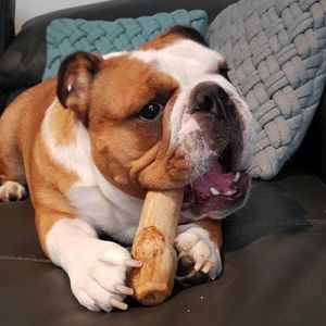 Juguete Masticable para Mascotas Más Vendido, Juguete de Madera de Café para Perros, Madera de Café para Masticar - Product Image 4