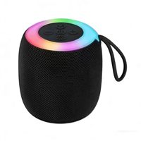 309 Enceinte audio sans fil transparente avec subwoofer à basses profondes, son acoustique clair à volume élevé, éclairage LED, prise en charge USB et carte TF, pour le jardin