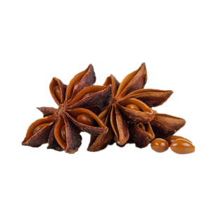 Forme entière d'anis étoilé de printemps pour les supports d'épices et l'emballage au détail d'utilisation de cuisine - Product Image 5