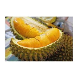 Fruta Durian Orgánica Fresca Dulce y Afrutada Cultivada en Vietnam - Product Image 1