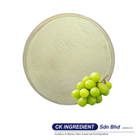 Groene Muscat Fruitextract Sap Poeder Voedingsmiddelkwaliteit Halal OEM B2B Gourmet Vacuüm verpakt drankingrediënt
