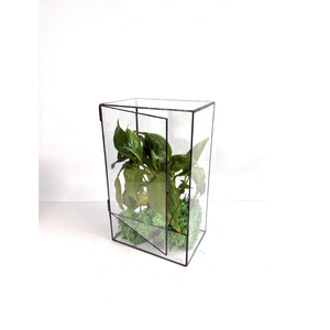 Hot Selling Reasonable Price <b>Clear</b> Glass Modern Luxury Black Terrarium With Brass Border New Arrival Terrarium for Home Decorate - Product Image 6