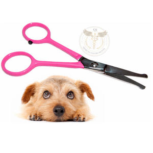 Petits ciseaux à pointe sphérique Tiny Trim de 4,5 pouces pour le toilettage des chiens, des chats et de tous les animaux domestiques, oreilles, nez, visage et pattes, ciseaux de sécurité de petite taille - Product Image 2