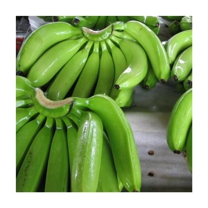 TENDANCES ACTUELLES Banane Cavendish fraîche, pure et sucrée, idéale pour desserts et décorations, boost d'énergie rapide, vente en gros, export direct - Product Image 5