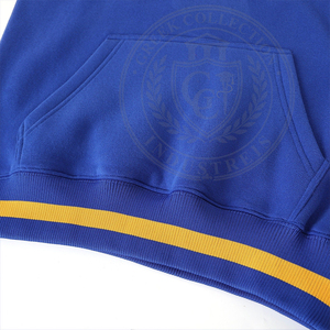 Sweat-shirts pour femmes de l'université Sorority Gamma, en coton, avec logo en relief, blocs de couleurs bleu et jaune, lettres grecques SGR, broderie chenille - Product Image 6
