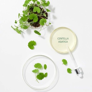 Nettoyant en gel K-Beauty coréen 150ml Centella apaisant au haricot mungo pour le visage - Product Image 5