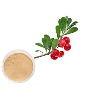 Extrait de Busserole Naturel en Poudre 100% Pur Arctostaphylos Uva Ursi Extrait Végétal Arbutine Qualité Cosmétique Extraite par Solvant à Base de Plantes - Product Image 1
