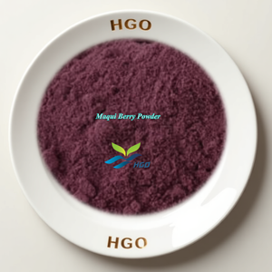 Suministro Directo de Fábrica HGO de Polvo de Baya de Maqui Puro y Natural (Grado Alimenticio) Especificaciones Polvo de Fruta (Polvo de Fruta Liofilizada) - Product Image 1