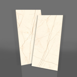 Vente directe d'usine : Carreaux de sol en granit 600 x 1200 mm super polis pour entrée. - Product Image 1
