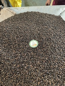 Poivre noir séché biologique de qualité supérieure poudre crue du Vietnam goût épicé chaud échantillon gratuit pour la cuisson des herbes épices processus de séchage - Product Image 2