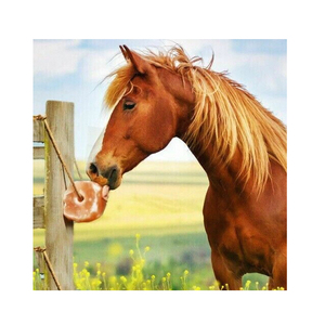 Sal Demaro de Alta Calidad, Premium, Natural del Himalaya, en Cubos, Bloques de Sal para Animales con Cuerda para Colgar de 1m, ISO - Product Image 4