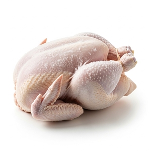 Pollos Enteros Congelados IQF, Halal, Orgánicos, de Primera Calidad, Certificados para Exportación, 24 Meses de Vida Útil, Envasados al Vacío, a Granel - Product Image 5