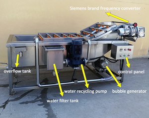 เครื่องซักผ้าผลไม้แอปเปิ้ลอัตโนมัติ304สแตนเลสสำหรับผักใบสายพานลำเลียงเชิงพาณิชย์ประสิทธิภาพสูง - Product Image 4