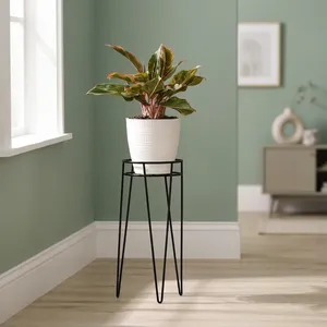 Support de Plante Moderne en Métal pour Pot de Fleurs, Plante Succulente, Intérieur/Extérieur, Décoration de Jardin et Maison, Support Minimaliste en Fil Métallique avec Pince à Cheveux - Product Image 6