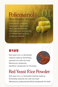 Complément de Policosanol 20 mg à base d'extrait de cire végétale de canne à sucre, 30 comprimés, fabriqué en Corée - Product Image 4