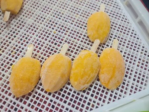 Frozen Mango Dipped in Milk <b>Chocolate</b> IQF Freezing Process Bulk Packaging-Ready-to-Eat Snack From Vietnam Manufacturer - Product Image 5