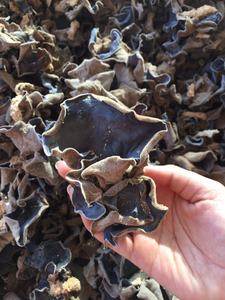 Champignon noir de forme entière séchée de l'usine du VIETNAM - Product Image 4