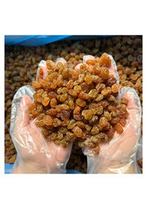 Pasas Naturales con Rico Sabor y Textura Suave para Hornear, Comer como Snack, Procesar Alimentos y Suministro al por Mayor - Product Image 3