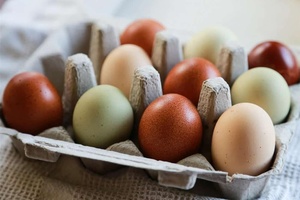 Huevos de Gallina para la Industria Hotelera y de Catering - Product Image 2